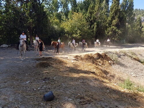 חוות סוסים נוף הרים בגליל